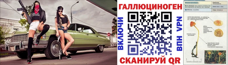 дарнет шоп  Боровичи  площадка Telegram  Псилоцибиновые грибы Psilocybine cubensis 